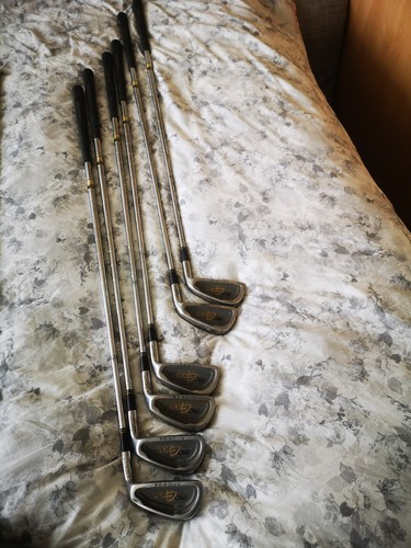 Prosimmon pro gold - pro, irons